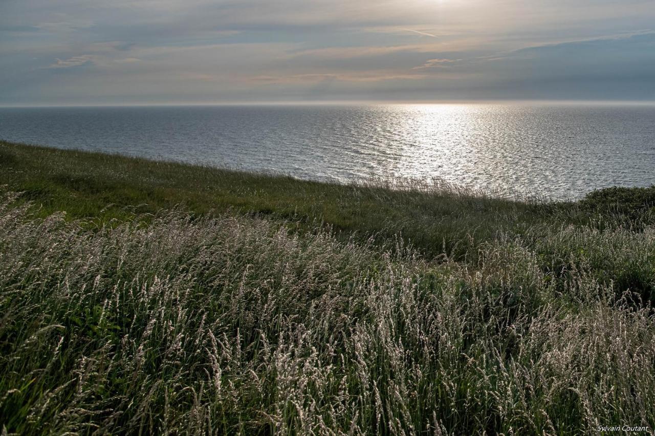 Villa La Precieuse En Front De Mer Woignarue Eksteriør billede